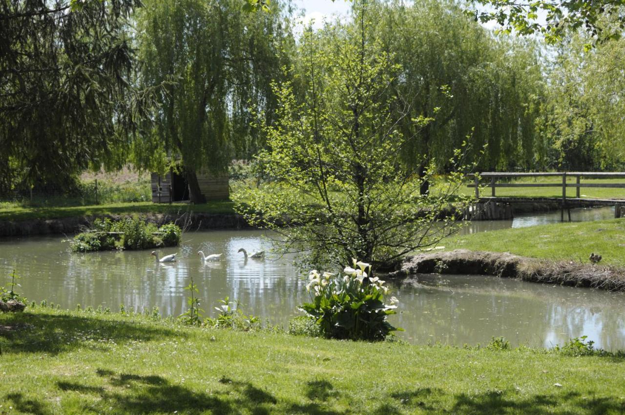 Domaine Ramonjavel, Glamping & Alpaca'S Bed and Breakfast Fongrave Exteriör bild