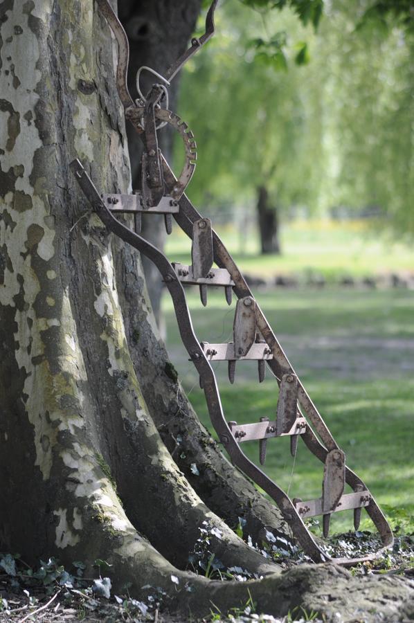Domaine Ramonjavel, Glamping & Alpaca'S Bed and Breakfast Fongrave Exteriör bild