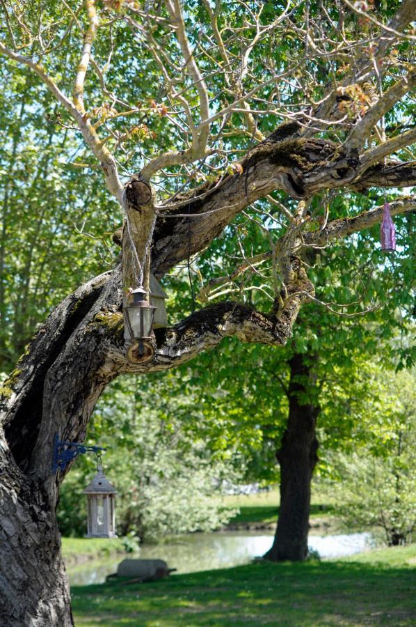 Domaine Ramonjavel, Glamping & Alpaca'S Bed and Breakfast Fongrave Exteriör bild