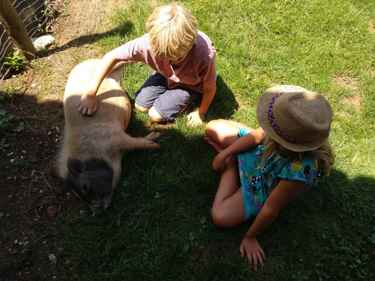 Domaine Ramonjavel, Glamping & Alpaca'S Bed and Breakfast Fongrave Exteriör bild
