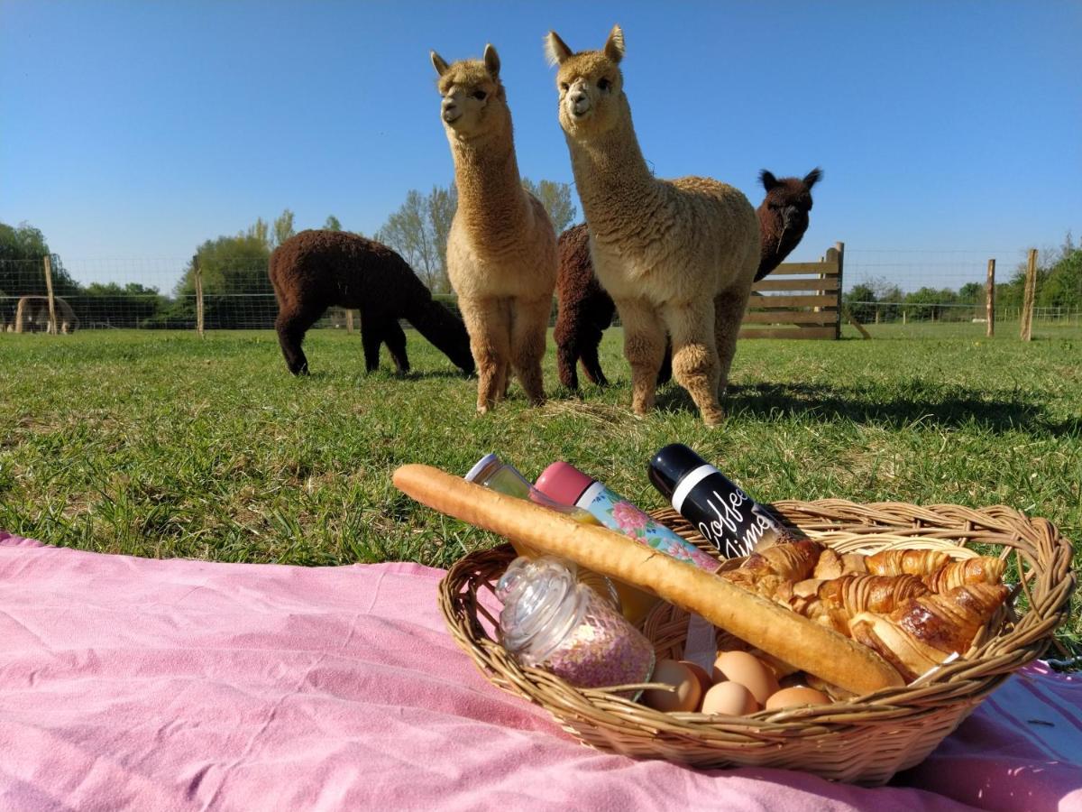 Domaine Ramonjavel, Glamping & Alpaca'S Bed and Breakfast Fongrave Exteriör bild