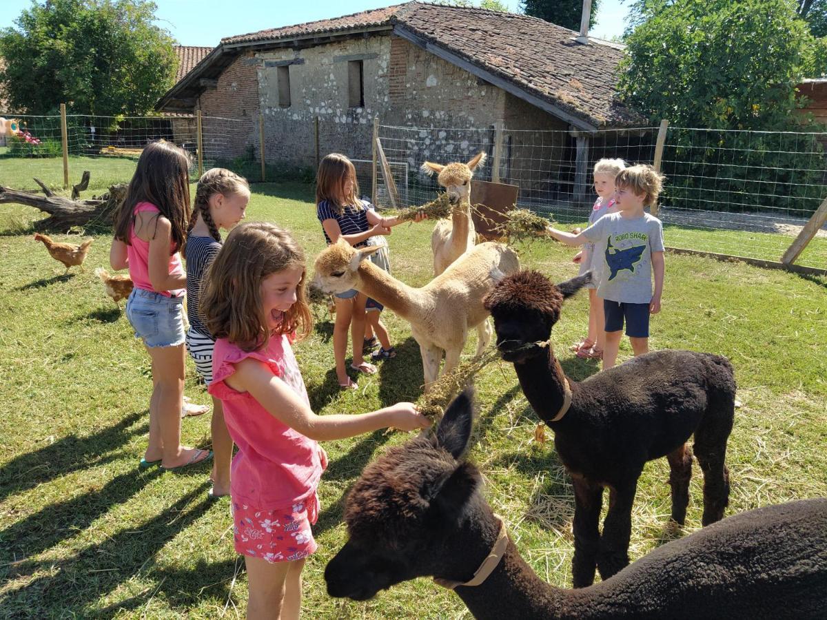 Domaine Ramonjavel, Glamping & Alpaca'S Bed and Breakfast Fongrave Exteriör bild