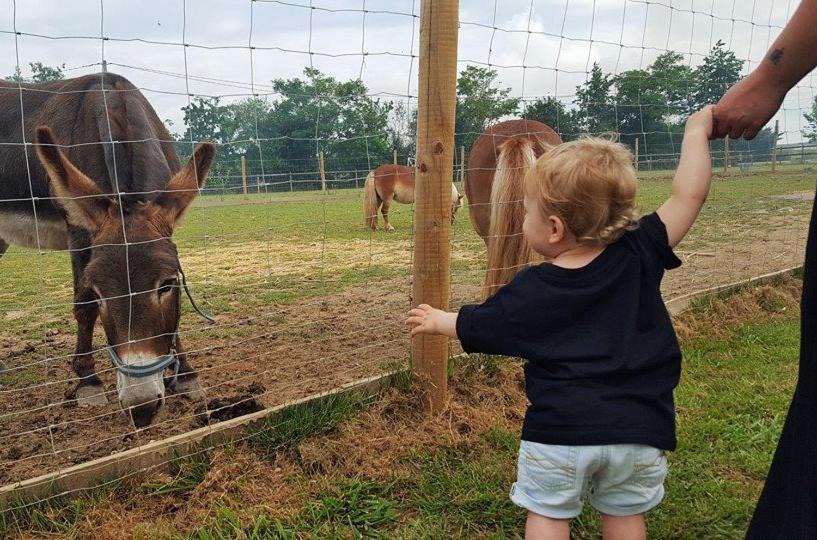 Domaine Ramonjavel, Glamping & Alpaca'S Bed and Breakfast Fongrave Exteriör bild